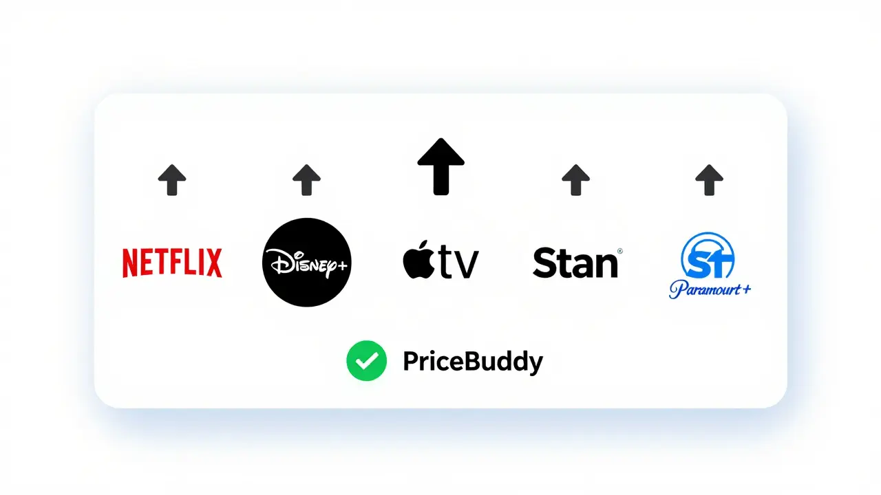 Digital dashboard monitoring streaming service price increases with monitoring tool icon